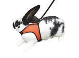 SPORT konijnentuig met flexibele lijn 120cm