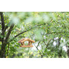 Feeding House Stubbs  nature 29 x 28 x 18cm