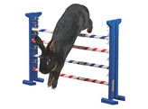 Obstacle combine Agility rongeur  7-92x62cm  H.max.49cm