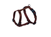 Harness  Classic 
