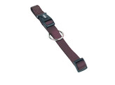 Collar  Classic 