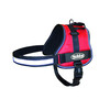 Harness  SEGURO 