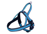 Norwegian Harness  Variado 