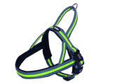 Norwegian Harness  Variado 