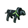 Dog coat  X04 2 in 1 