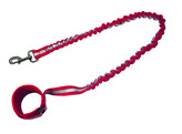 Laisse de jogging  Elastic 