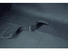 Car Boot protection