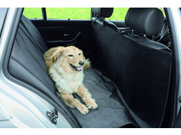 Car Seat protection