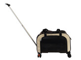 Trolley  MOVE 