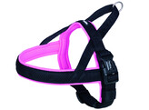 NORWEGIAN Harness  Mesh Preno 