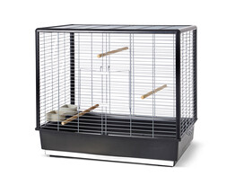Bird cage  Noah 60 