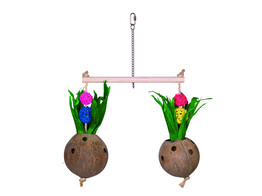 Coconuts with perch and corn leaves  50 x 40 cm