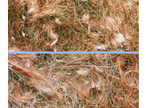 Nesting material  Pelo Animale   50 g