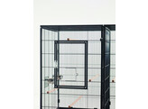 Cage for birds or hamster  Tasmania   120 x 65 x 107 cm