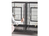 Cage for birds or hamster  Tasmania   120 x 65 x 107 cm