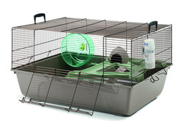 Cage for hamster  Duncan 