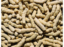 Pond sticks natural