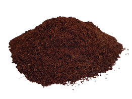 Coco litter fine