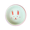 Rodent ceramic feeding trough