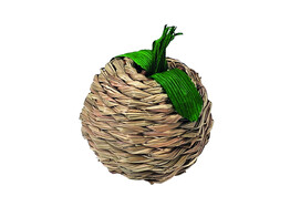 Sea grass apple  9 x  O7 cm