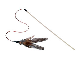 Canne a peche avec plumes