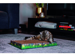 Sratching paper board
