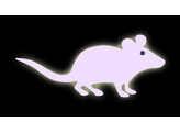 Pointeur a  LED  MOUSE 