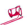 Cat set  Mesh 