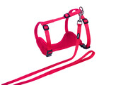 Cat set  Mesh 