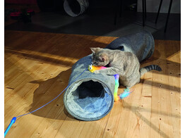 Plush crackle tunnel  GAURI 