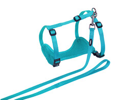 Cat set  Mesh 