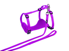 Cat set  Mesh 