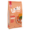 WOW DOG DROOG ADULT met zalm 12kg x 1