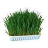 Knaagdiergras 100g