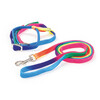Harnais pour chat Rainbow multicolore  avec laisse 120cm