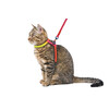 Harnais pour chat Rainbow multicolore  avec laisse 120cm
