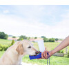 Travel Drinking Bottle 500 ml