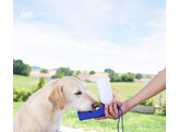 Travel Drinking Bottle 500 ml
