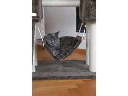 Arbre a chat Granat gris fonce  150cm