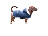 Manteau chaud pour chien Teddy 27cm