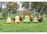 Voederautomaat v. 2 4l/2kg met voeten  groen m. motief