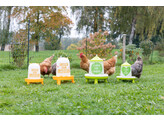 Voederautomaat v. 2 4l/2kg met voeten  groen m. motief