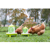 Voederautomaat v. 2 4l/2kg met voeten  groen m. motief
