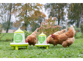Voederautomaat v. 2 4l/2kg met voeten  groen m. motief