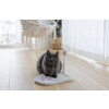 Krabbord Paw  36 x 31 cm  wit/pink