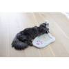 Krabbord Paw  36 x 31 cm  wit/pink